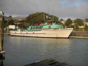 New Sea Anglers' catch today Rockfish limits and Lingcod limits