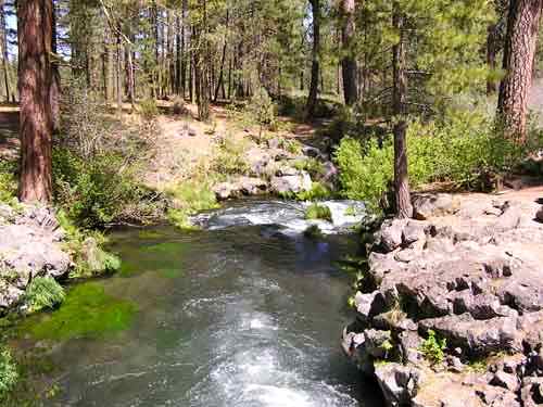 Hat creek best sale fishing regulations