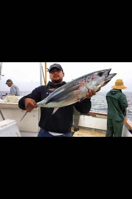 Bass Tub comes back from a great Albacore fishing trip