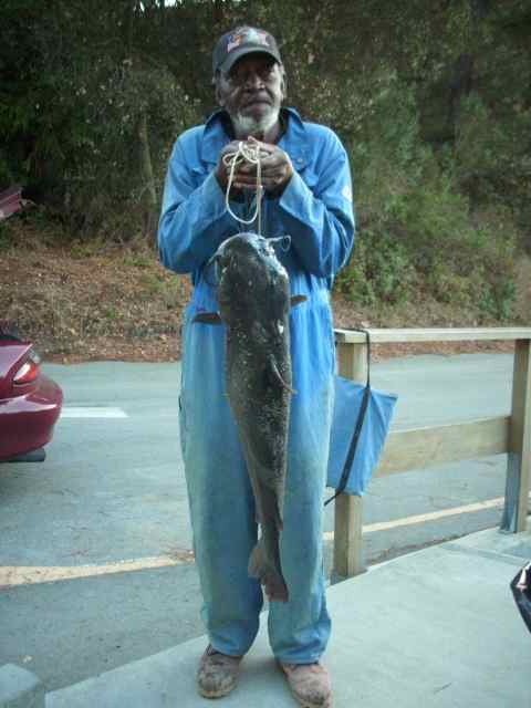 Trout fishing is coming on at San Pablo Reservoir -- Mike King wins 1st Annual Trout Challenge