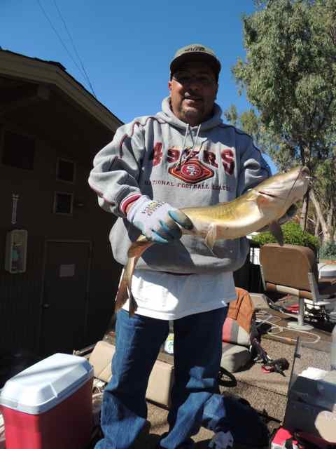 This week was a fantastic week for catfishin' out at Lake Camanche!