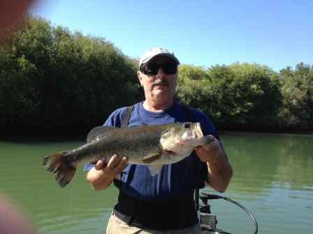 Sacramento Delta Fishing Report