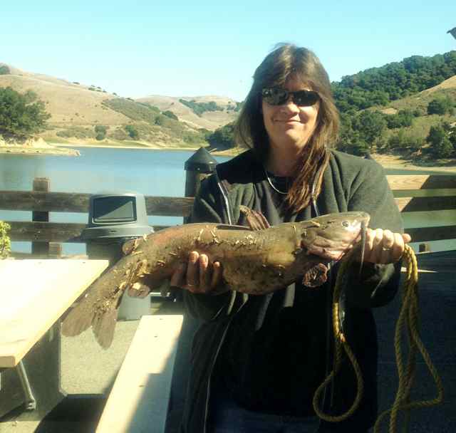 The Catfish bite was featured this week at San Pablo Reservoir