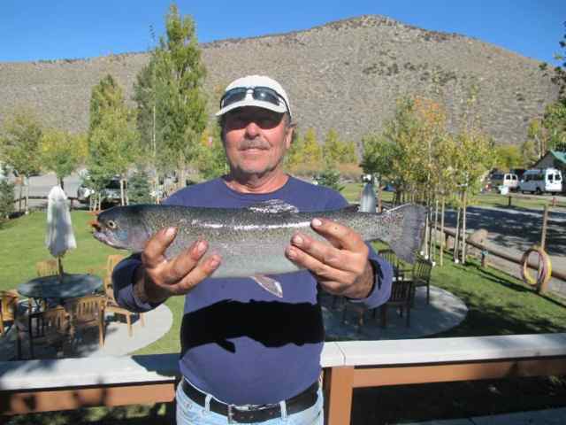 Catch Trout Using PowerBait & the Carolina Keeper Rig 