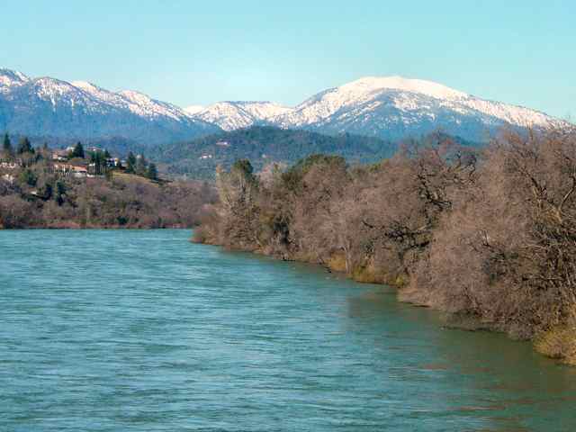 Strong Sacramento River Salmon Fishing   Limits daily, to 34 pounds