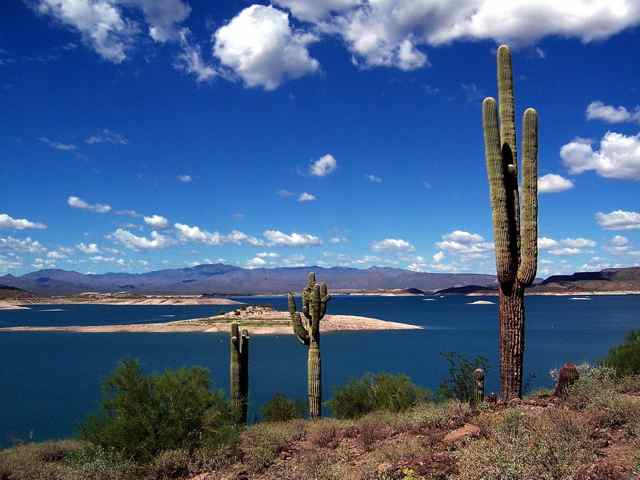 Lake Pleasant Fish Report - New River , AZ