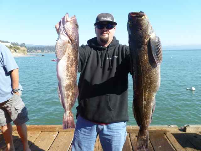 Dungeness Crab Season Opens today, Nov. 2nd & info on the Albacore Feed event in Castroville