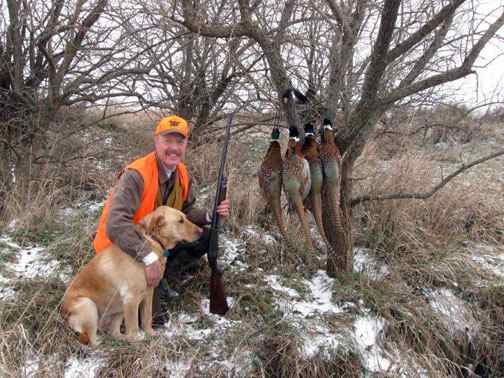 DROUGHT CONTINUES TO FACTOR IN COLORADO PHEASANT/QUAIL HUNTING