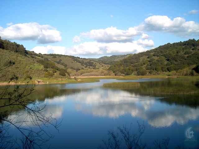 Trout fishing is amazing at Lake Chabot 