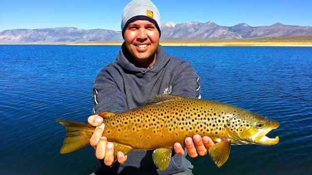 Crowley Lake Fish Report - Mammoth Lakes, CA (Mono County)