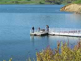 Fishing at Los Vaqueros is very good. Trout & Striped Bass are both active