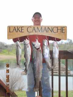 An overview of Lake Camanche