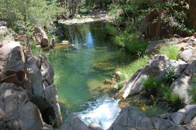 Haigler Creek Fish Report - Haigler Creek AZ Gila County 