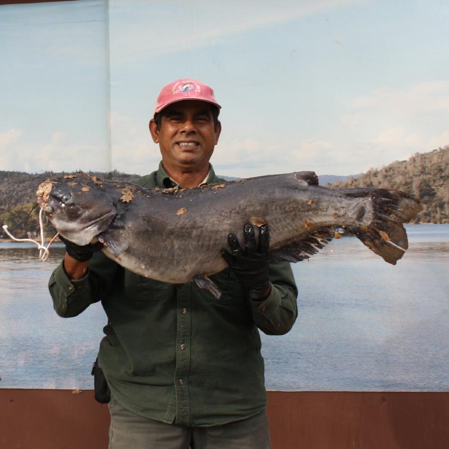 Collins Lake Fish Report