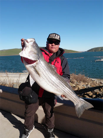 Los Vaqueros Reservoir Fish Report