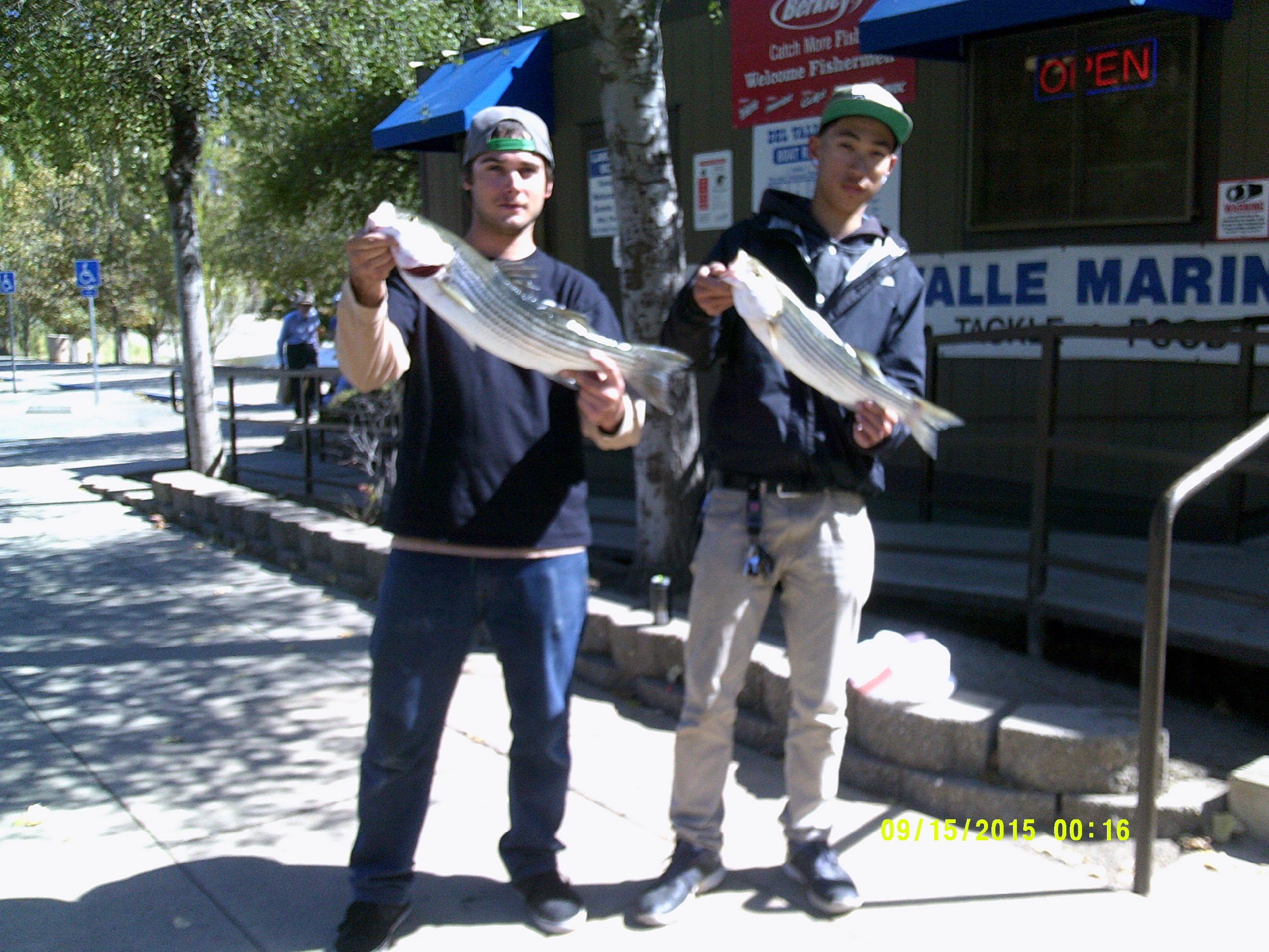 Lake Del Valle Fishing Report