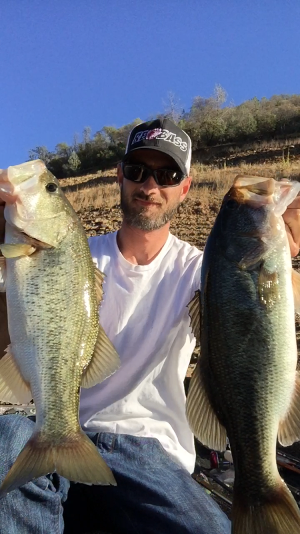 Bass Fishing Tips and Baits at Squaw Creek Reservoir 