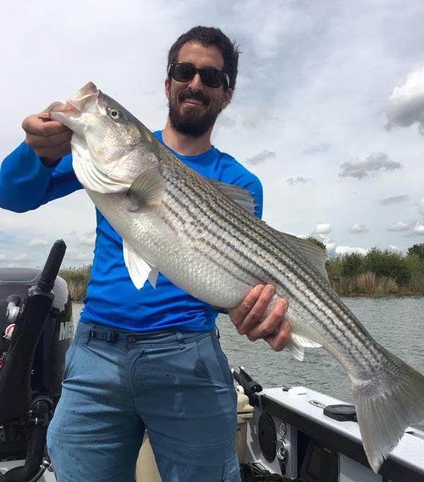 Limits of Stripers