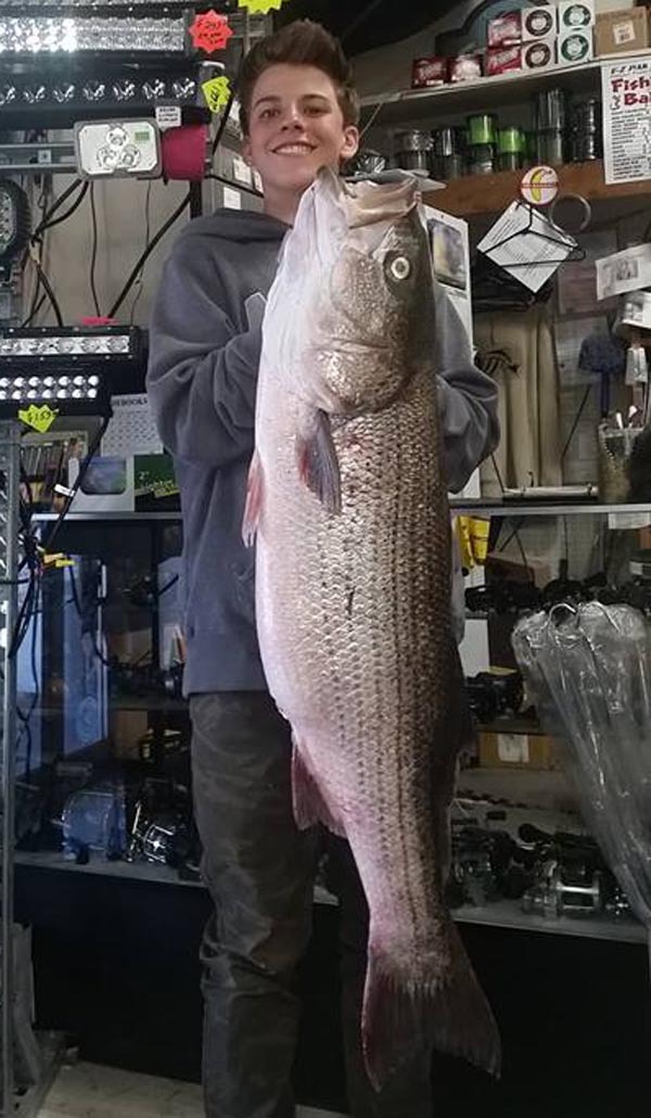 33 Pound Sac River Striper