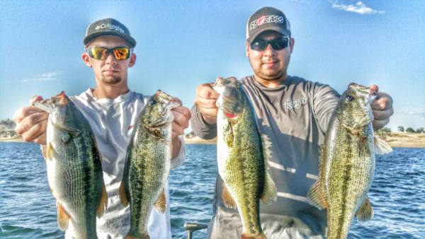 Lake Camanche Fishing Report