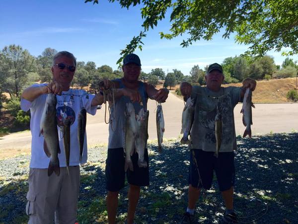 Lake Amador Fishing Report