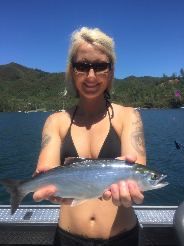 KOKANEE FISHING at Whiskeytown Lake  Easy 4 LIMITS during WHITECAPS 