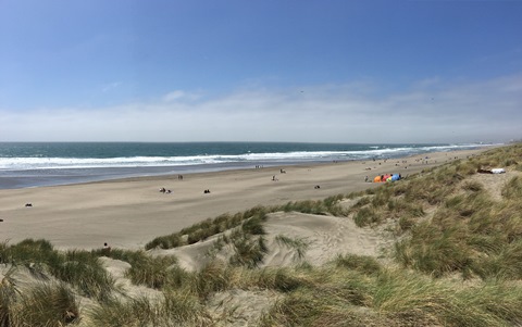 Surf Fishing for Striped Bass in San Francisco