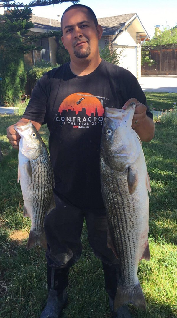 Rio Vista Striper Action