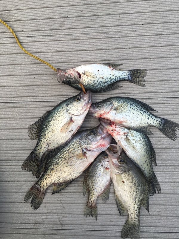 San Pablo Reservoir Fishing Report