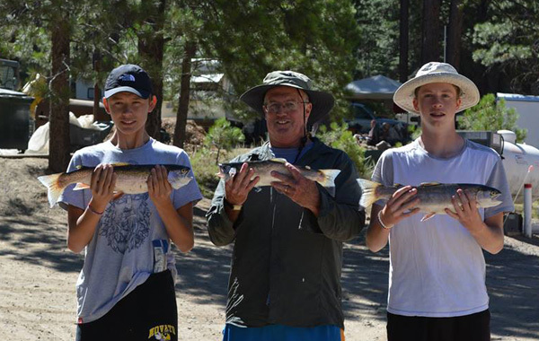 Davis Lake Trout