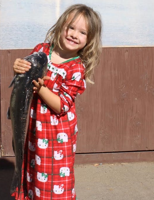 Collins Lake cats dominate fish photos!