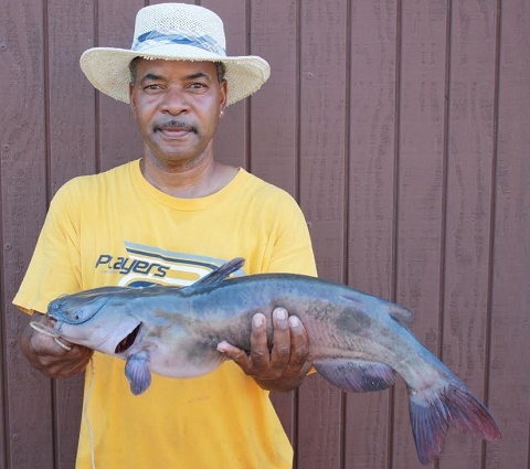 Catfish and trout pair up at Collins Lake