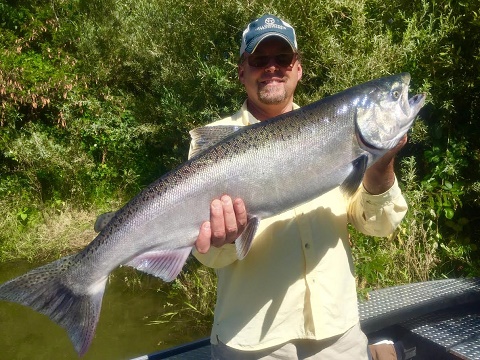 Sacramento River Fishing Improves