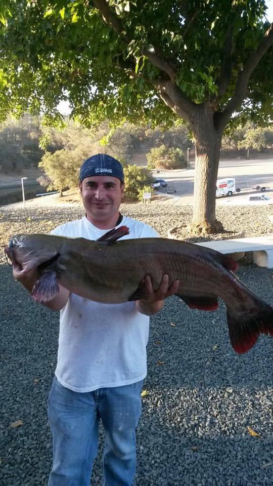 Lake Amador Fishing Report