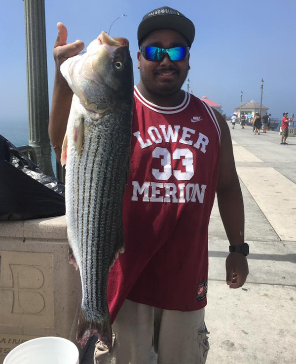 Pier Fishing  Striped Bass Fishing