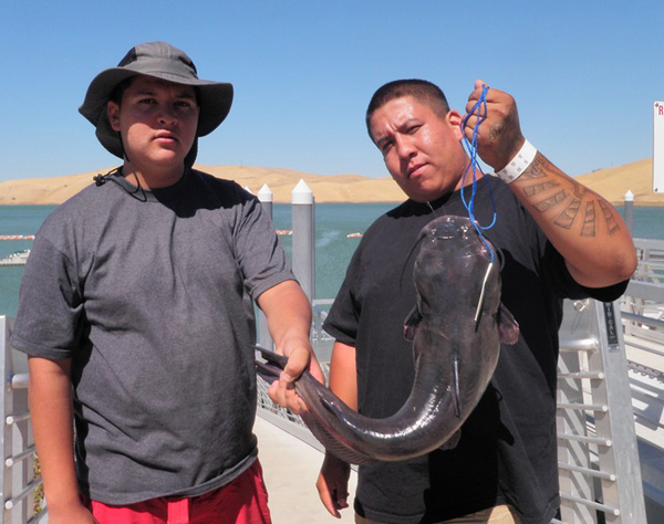 Los Vaqueros Fishing Report
