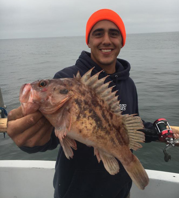 Marin Coast Rockfish Report