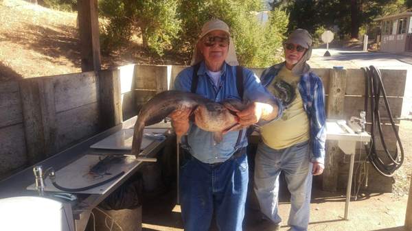 San Pablo Reservoir Fishing Report