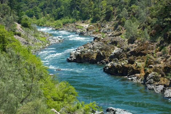 Trinity River Flows and Conditions