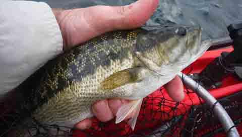 Kayak kokanee fishing at Whiskeytown