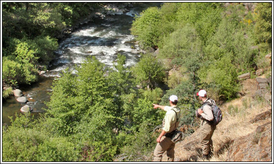 Battle Creek Canyon Ranch Fishing Report