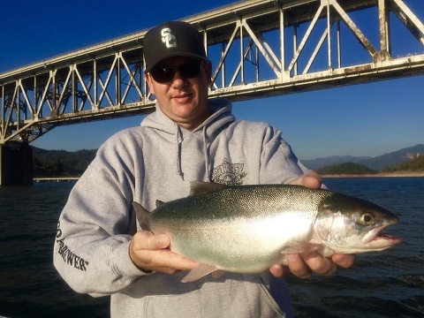 Shasta Lake Trout and King