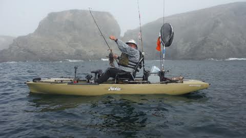 ​Albion Bash kayak fishing
