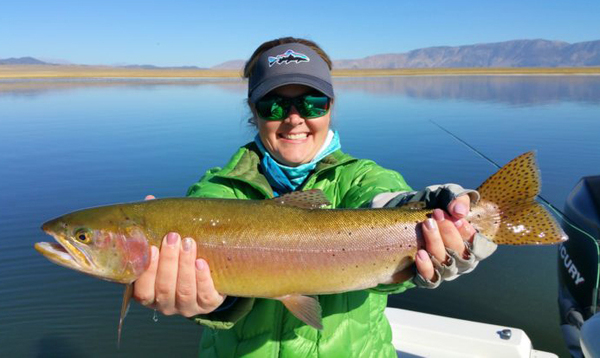 Crowley Lake Fish Report - Mammoth Lakes, CA (Mono County)