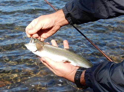 ​Hike For Fall Trout