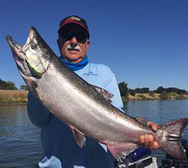 Sac River Salmon Report