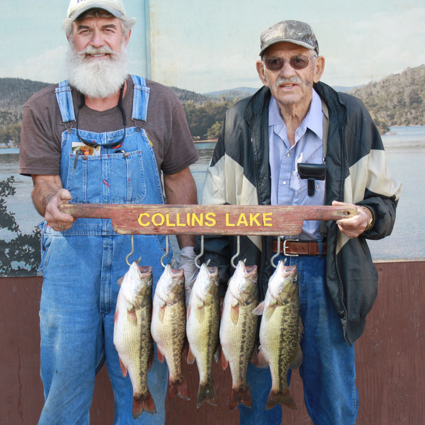 Collins Lake Fishing Report