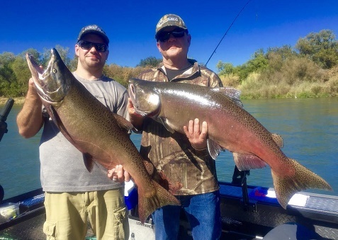 Sacramento River salmon fishing stalls out