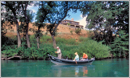 Lower Sacramento River Fishing Report