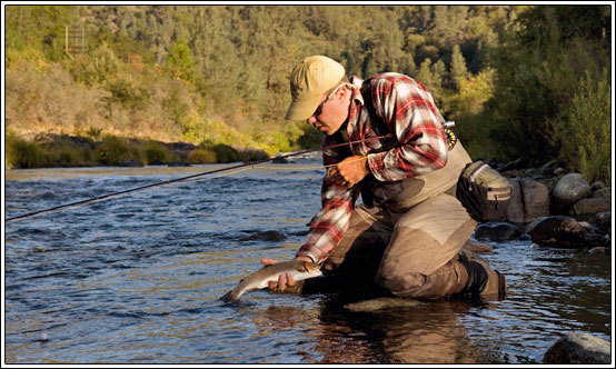 Upper Sacramento River Fishing Report